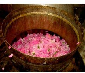 Rose Water (Grade 3)