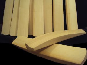Cricket Bat-008