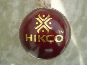 Practice Cricket Ball