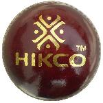 Training Cricket Ball