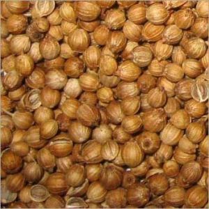 Coriander Seeds