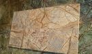 Rain Forest Brown Marble