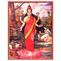 Lakshmi Mata Sticker