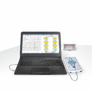 Electroencephalograph (EEG)