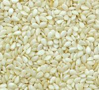 Hulled White Sesame Seed,Sesame Seeds