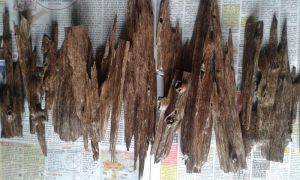 Agarwood Chips Grade C