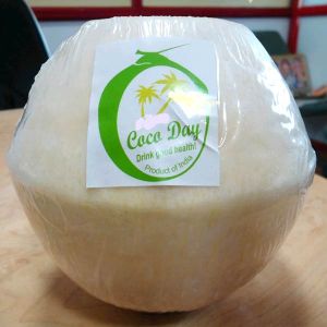 Tender Coconut - Processed