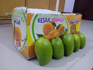 kesar mango