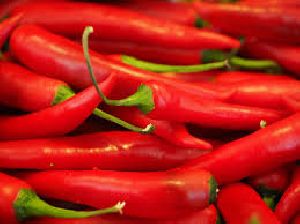 Fresh Red Chilli