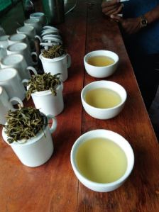 Organic Green Tea