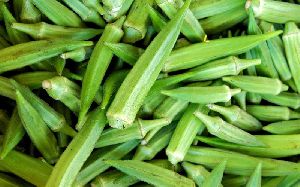 Fresh Okra