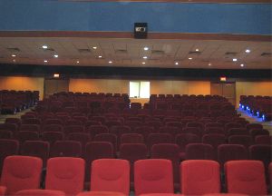 Multiplex Auditorium Chairs