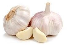 Fresh Garlic