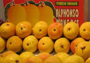 Mangoes