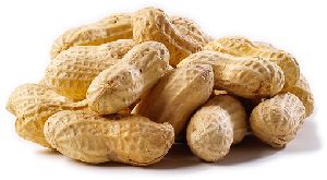 Shelled Peanuts