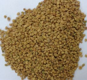 Fenugreek Seeds