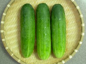 Cucumber