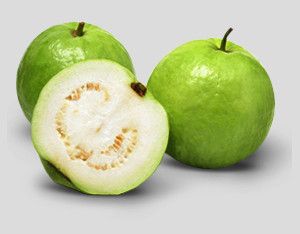 White Guava Concentrates