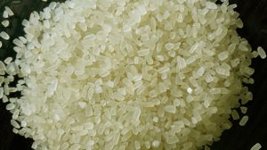 Broken Parboiled Rice