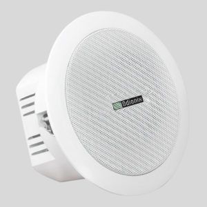 ceiling mount speaker