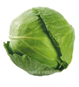 Cabbage