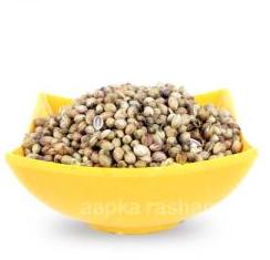 Coriander Dhania Seeds