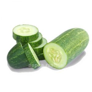 Cucumber