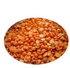 Masoor Dal