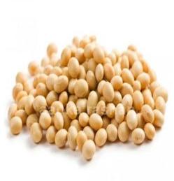 Soyabean