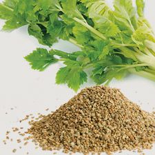 Celery Seed