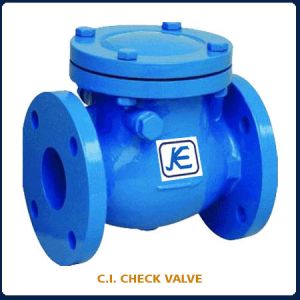 Cast Iron Plate Check Valve