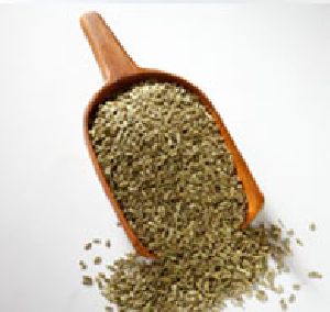 Fennel Seeds