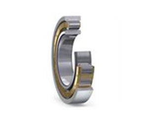 Cylindrical Roller Bearings