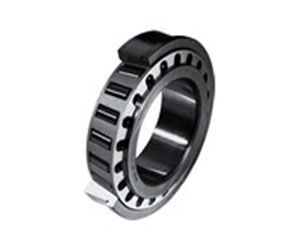 Flanged Cup Bearing (C Type)