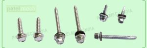 MS Self Tapping Screws