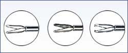 Vitrectomy Forceps