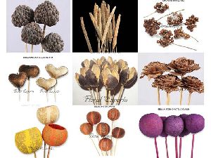 natural dried flowers