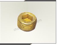 Brass Pipe Fittings