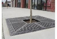 tree grate