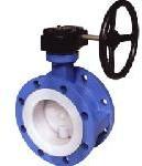 PTFE Lined Valves