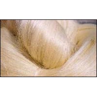 Sisal Fibre