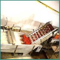Vegetable Processing Plant Machinery