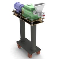 Twin Screw Side Feeder