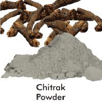 Chitrak Powder