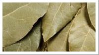 Bay Leaves