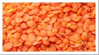 Red Split Lentils