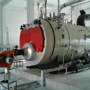 Multi Fuel Boiler