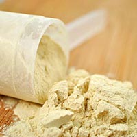 Whey Powder Manufacturer
