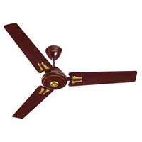 Ceiling Fans