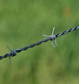 Barbed Wire